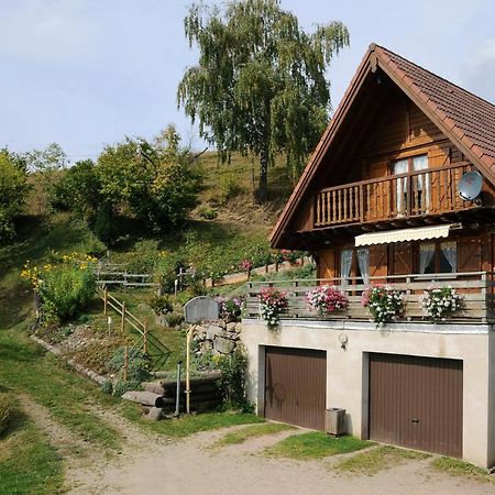 Chalet-Gite Berbuche Sainte-Croix-aux-Mines Extérieur photo