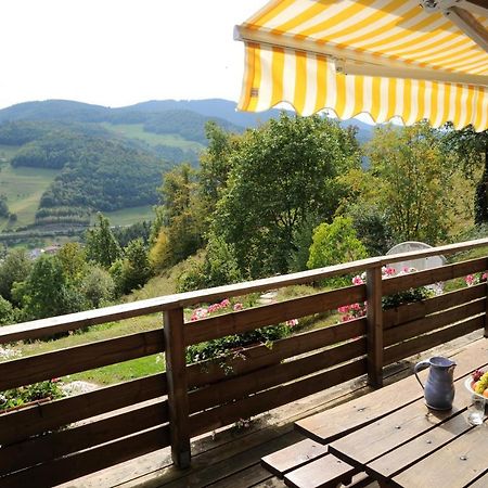 Chalet-Gite Berbuche Sainte-Croix-aux-Mines Extérieur photo