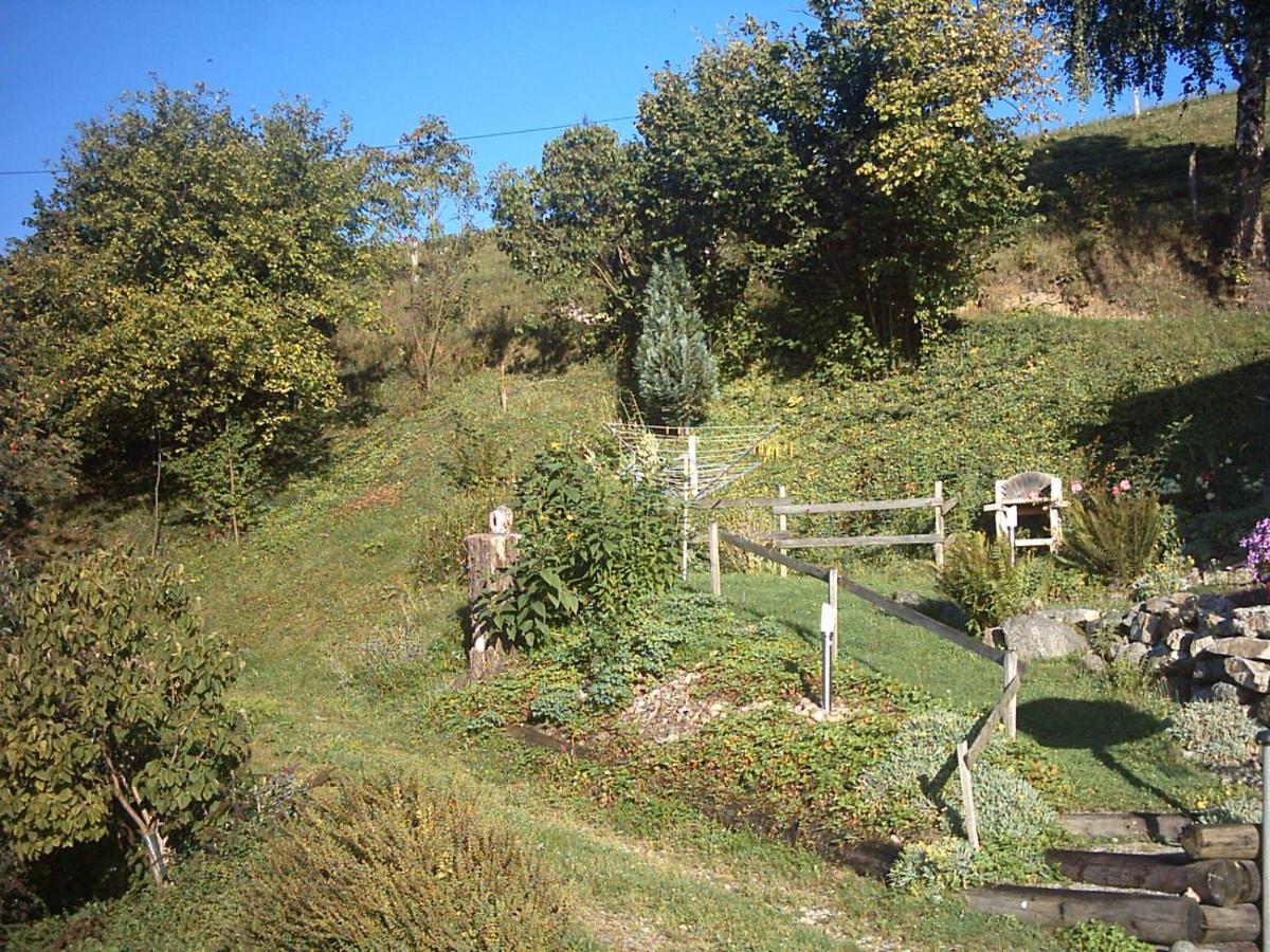 Chalet-Gite Berbuche Sainte-Croix-aux-Mines Extérieur photo